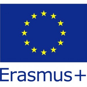 Persoana de contact Programul Erasmus+
